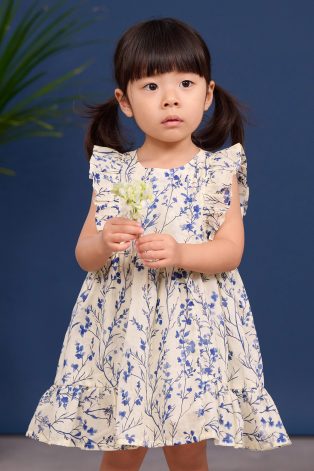 Halley Dress