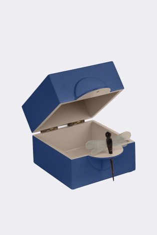 Dragon Fly Box S