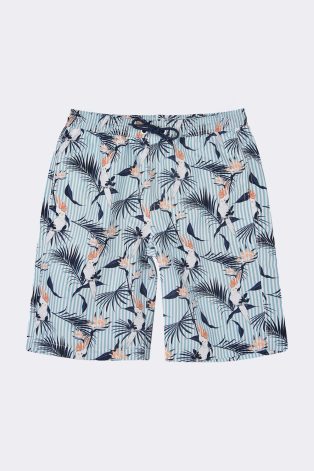Shane Macaw Shorts
