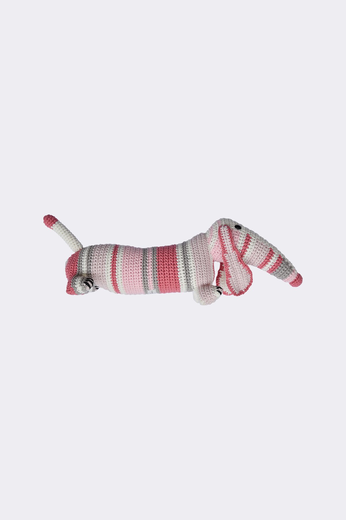 Striped Dog