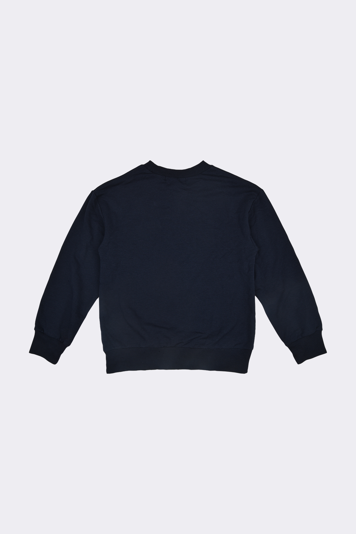 Barley Sweat shirt - Image 4