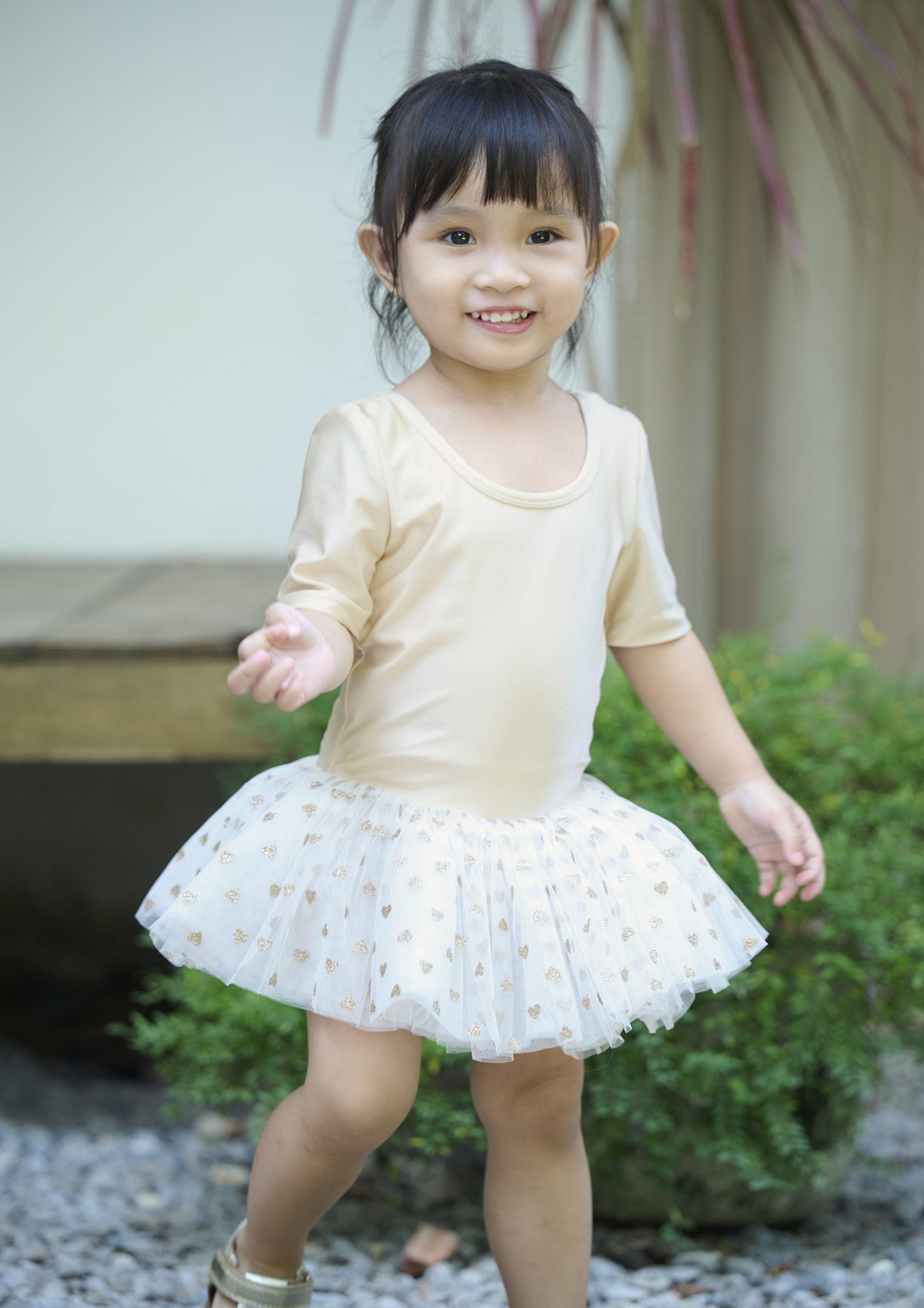 Eva Tutu dress