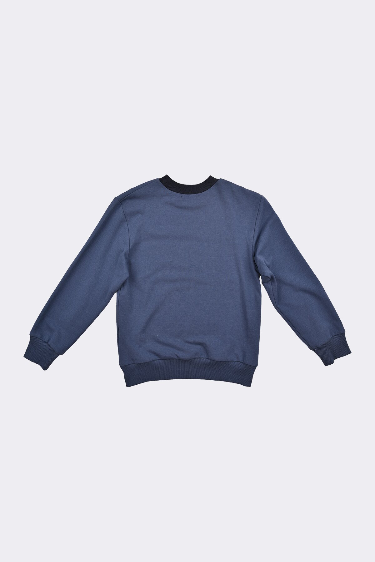 Brian Sweat Shirt - Image 3
