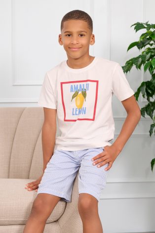 Benny Stripe Shorts
