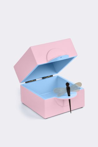 Dragon Fly Box S