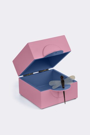 Dragon Fly Box S