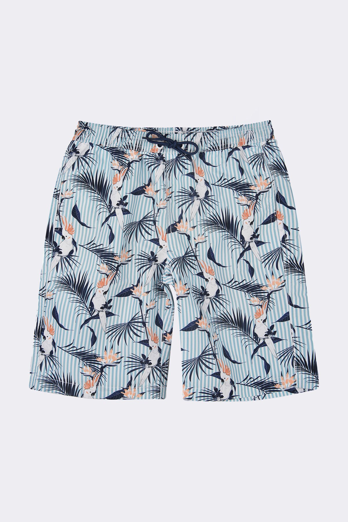 Shane Macaw Shorts