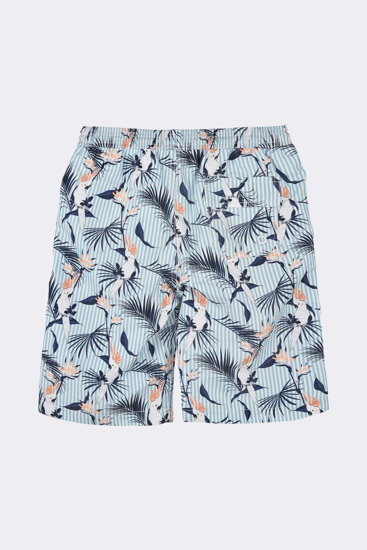 Shane Macaw Shorts - Image 2