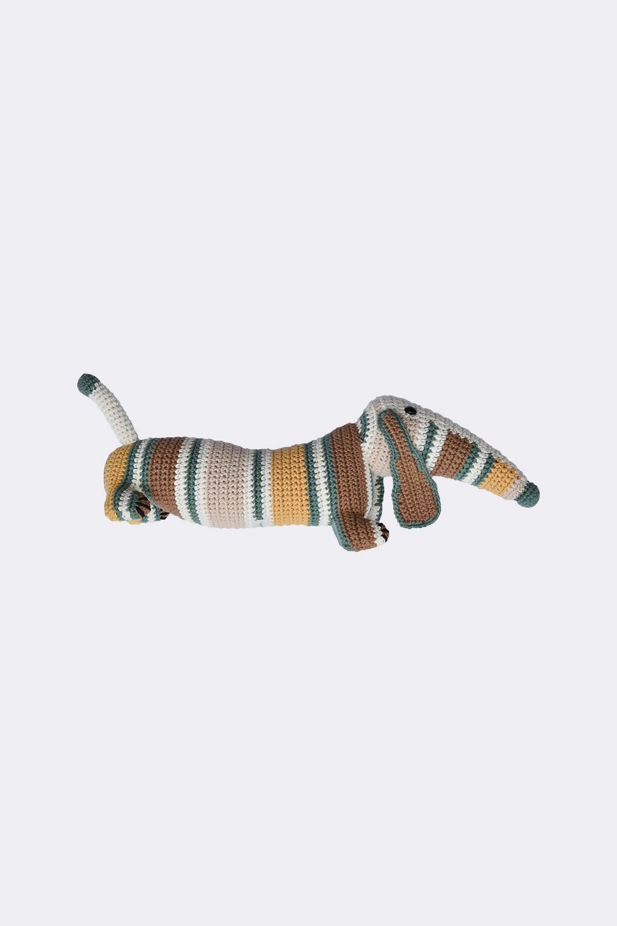 chó móc len Striped Dog