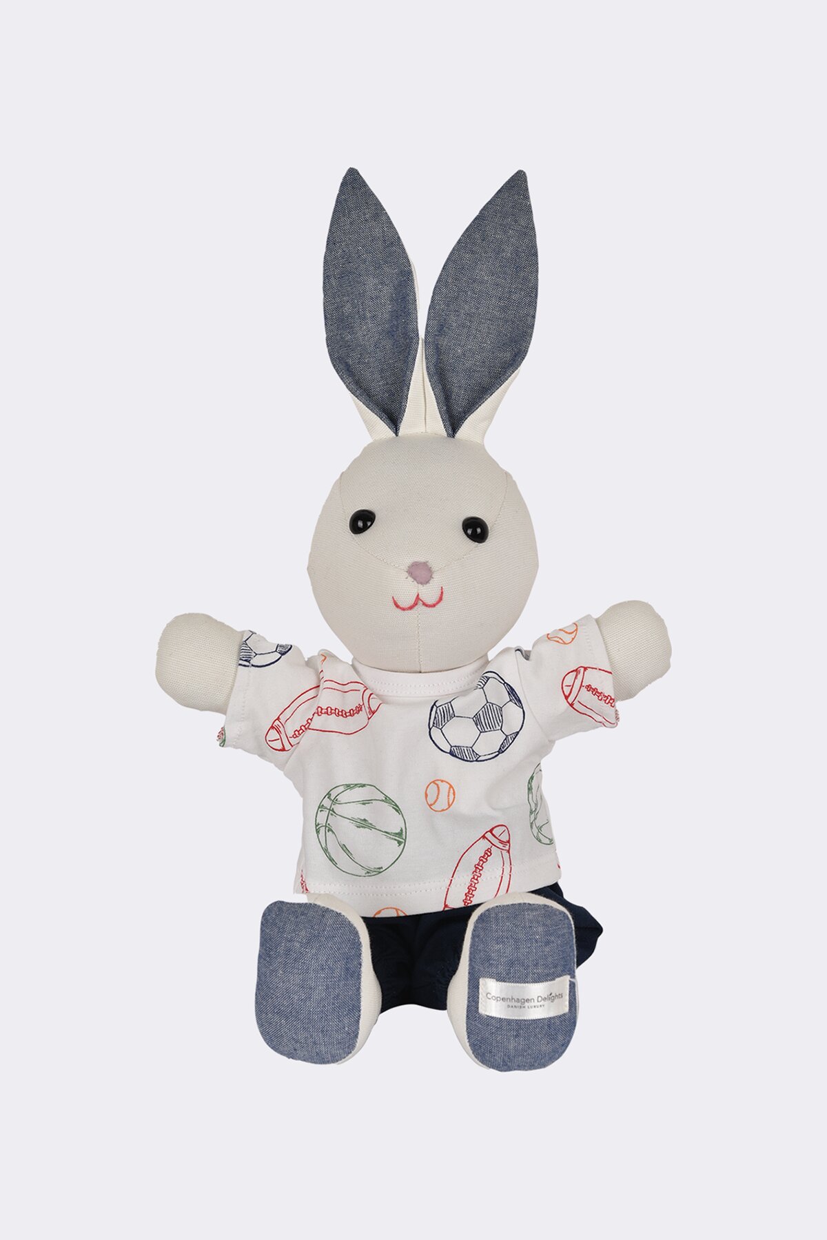 Anton Bunny
