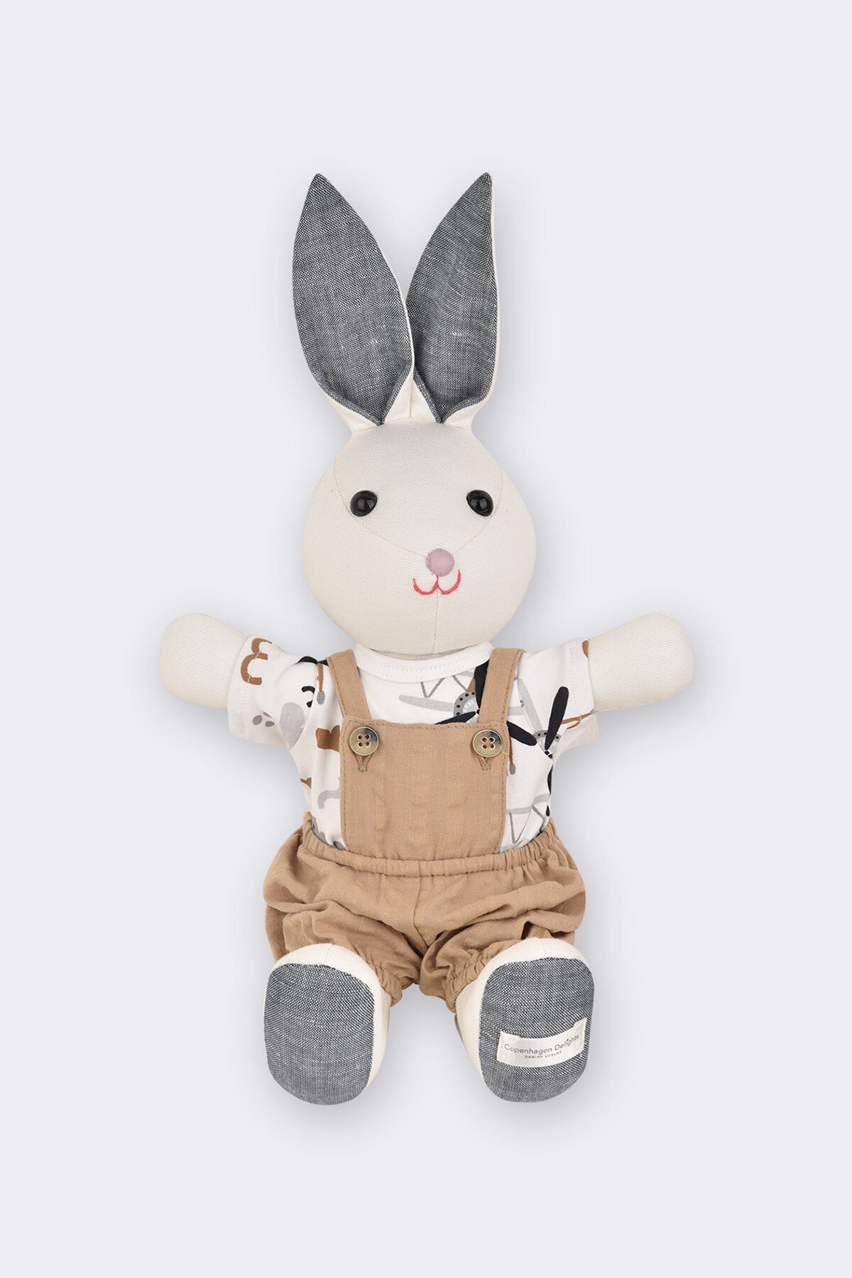 Anton Bunny