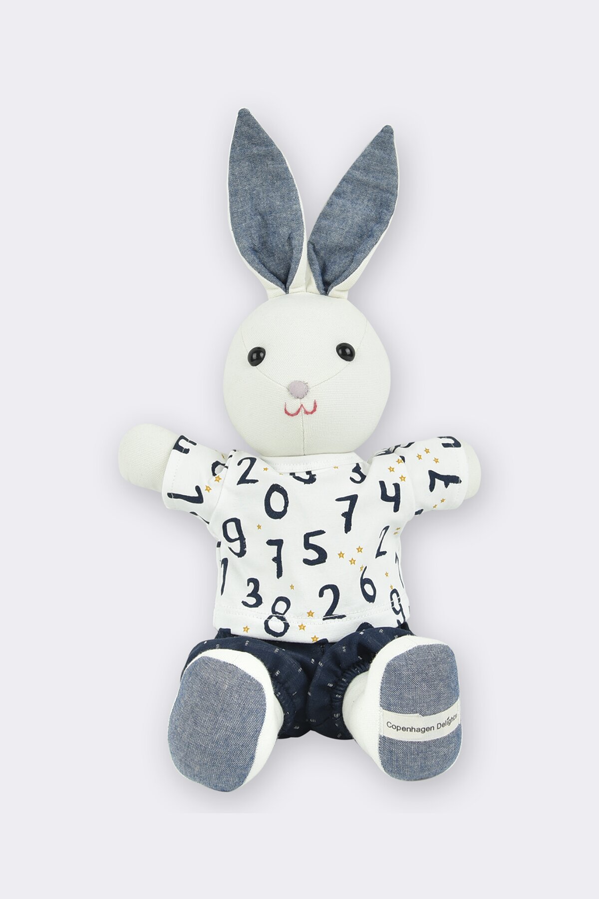 Anton Bunny