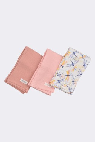 Muslin Dragonfly