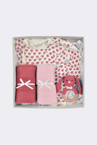 Hộp quà Baby Box Tree
